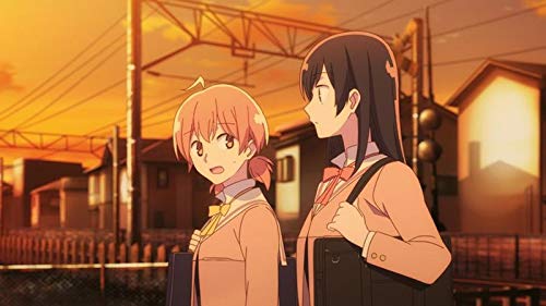 Bloom into You, Vol. 2, DVD