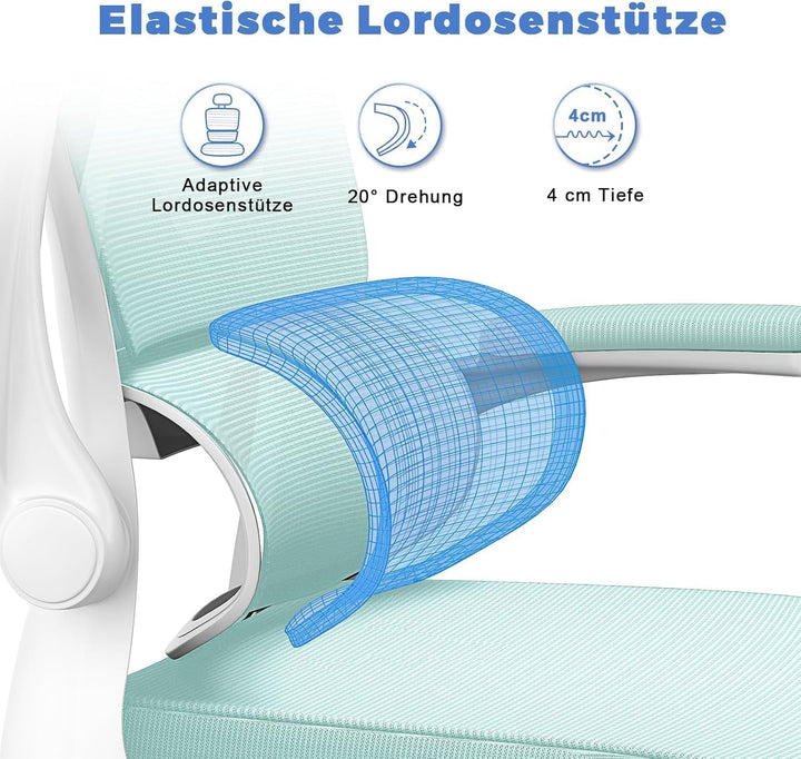 naspaluro Bürostuhl Ergonomischer, Schreibtischstuhl mit Hochklappbaren Armlehnen, Dynamischer Lordo