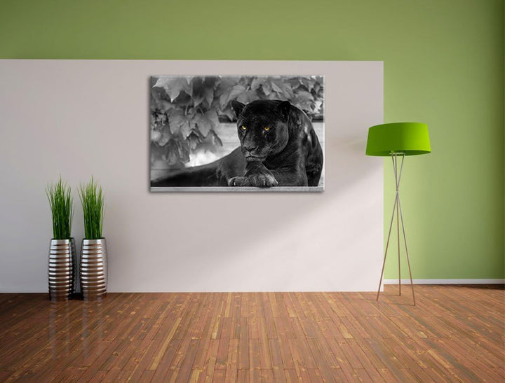 schöner schwarzer Panther schwarz/weiss auf Leinwand, XXL riesige Bilder fertig gerahmt mit Keilrahm