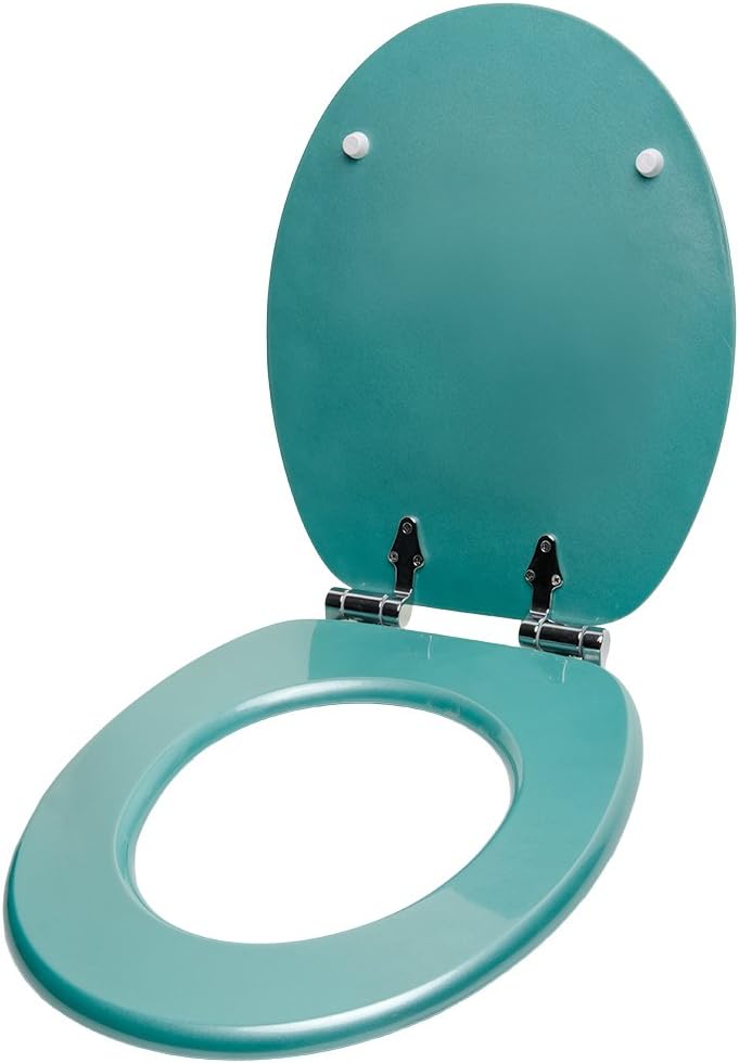 WC Sitz mit Absenkautomatik, hochwertige Oberfläche, einfache Montage, stabile Scharniere, Glitzer T