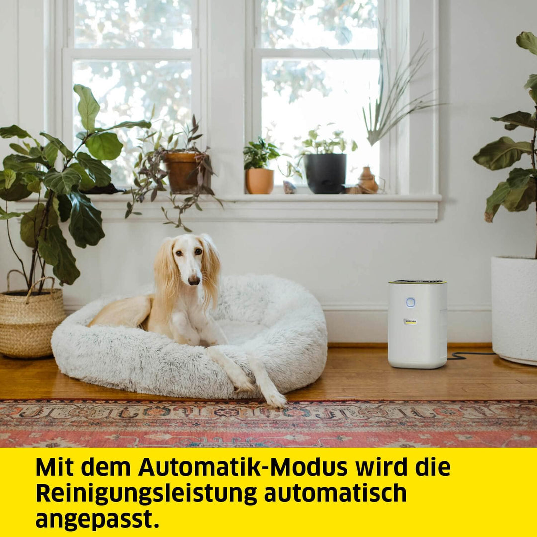 Kärcher Luftreiniger AF 20, Luftdurchsatz: 220 m³/h, bis zu 40 m² Räume, beseitigt 99,95% der Partik