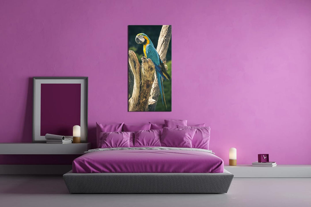 edler Papagei Panorama 100x50 cm als Leinwandbild, Motiv fertig gerahmt auf Echtholzrahmen, Hochwert