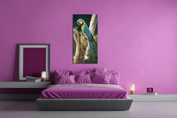 edler Papagei Panorama 100x50 cm als Leinwandbild, Motiv fertig gerahmt auf Echtholzrahmen, Hochwert