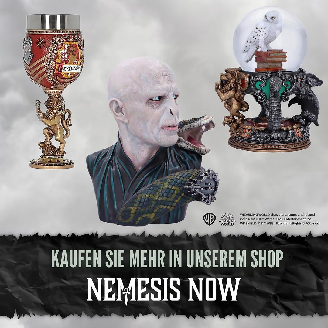 Nemesis Now Collectable Goblet Harry Potter Hogwarts School of Witchcraft and Wizardry Kelch zum Sam