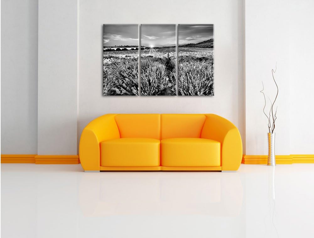Pixxprint Lavendelfeld in Frankreich als Leinwandbild/Grösse: 3 Teilig (120x80) cm/Wandbild/Kunstdru