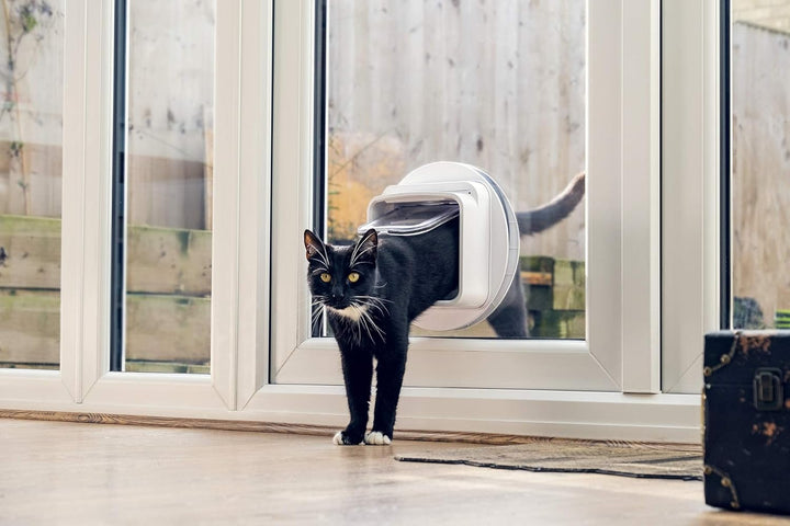 Sure Petcare SureFlap Mikrochip-Katzenklappe Connect, kompatibel mit Smartphone-App, Einbau in Türen
