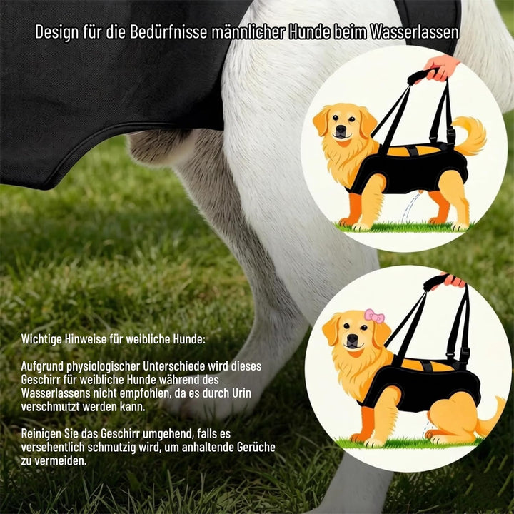Hunde-Hebegeschirr &amp; Tragehilfe – Vollkörper Unterstützung für Senioren, Behinderte &amp; Hunde nach OP,