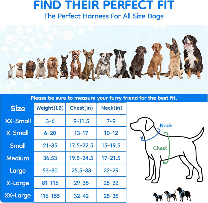 Hundegeschirr „Kein Ziehen“, reflektierend, verstellbar, mit Griff, Small, blau Small blau, Small bl