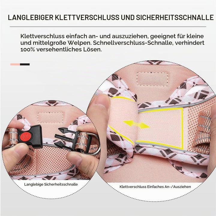 DORAMIO Hundegeschirr Kleine Hunde mit Leine, Step-in Geschirr Reflektierend Atmungsaktiv Brustgesch