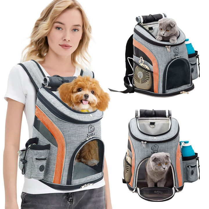 PETCUTE Hunderucksack Kleine Hunde,Atmungsaktiv Hundetragetasche mit Internem Sicherheitsgurt,Verste