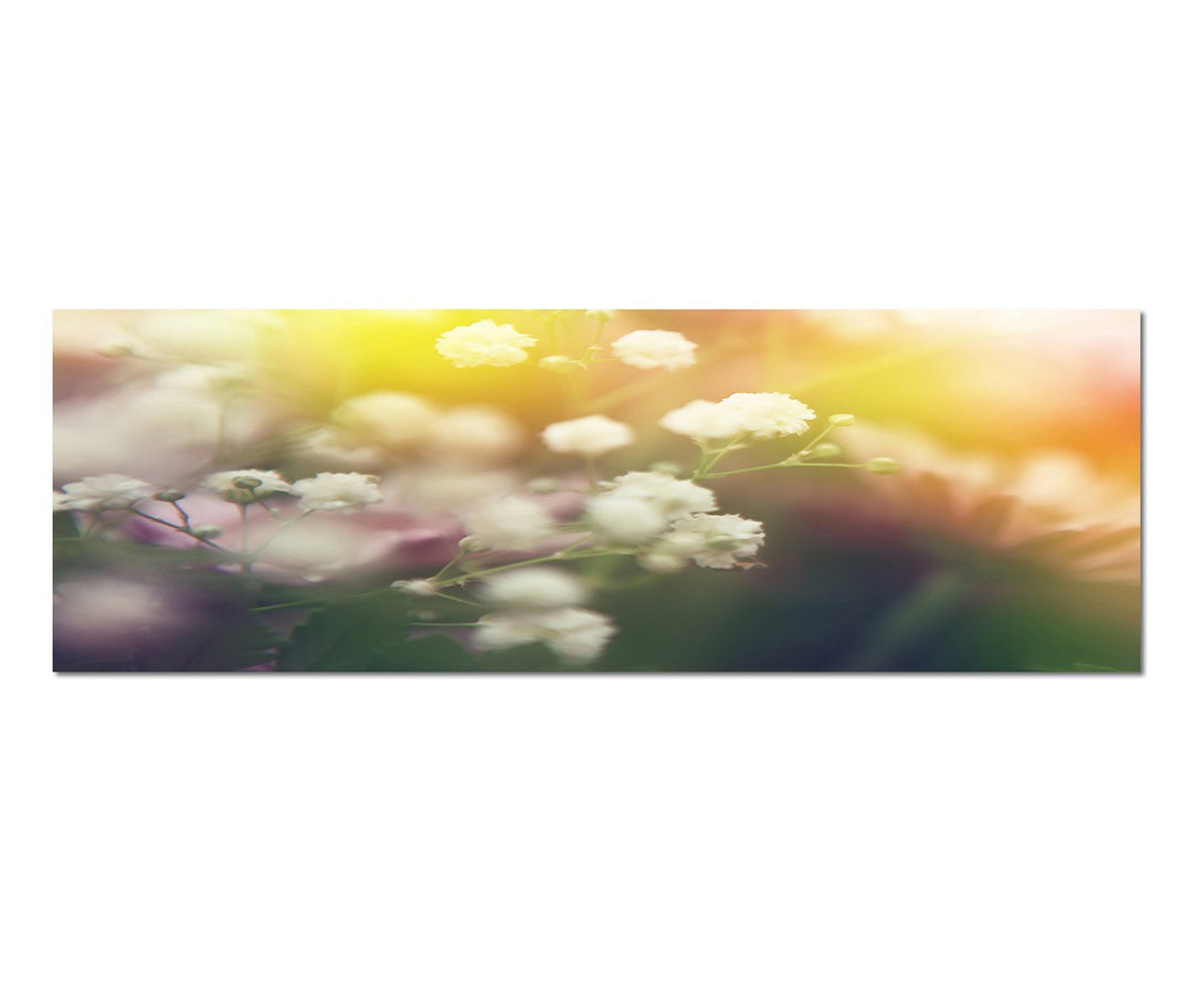 Paul Sinus Art Panoramabild auf Leinwand und Keilrahmen 150x50cm Blumen Licht Frühling abstrakt