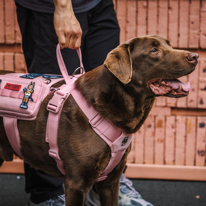 OneTigris Service Hundegeschirr, Guardian Geschirr mit 3 Edelstahl D-Ringen und Grosser Kapazität Ta