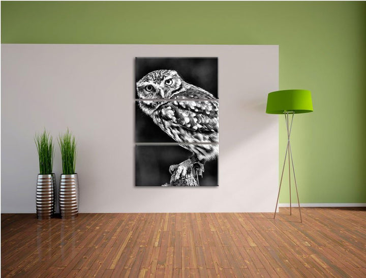 Pixxprint Eule auf AST als Leinwandbild/Grösse: 3 Teilig (120x80) cm/Wandbild/Kunstdruck/fertig besp