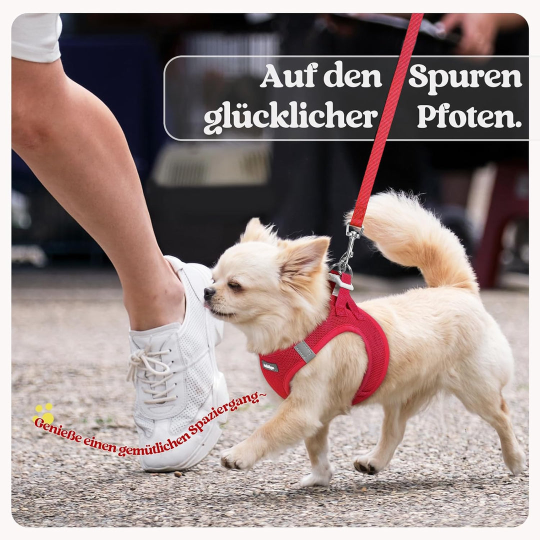 rabbitgoo Hundegeschirr Kleine Hunde mit Leine, Step-in Welpengeschirr Weich Mesh für Spaziergänge,