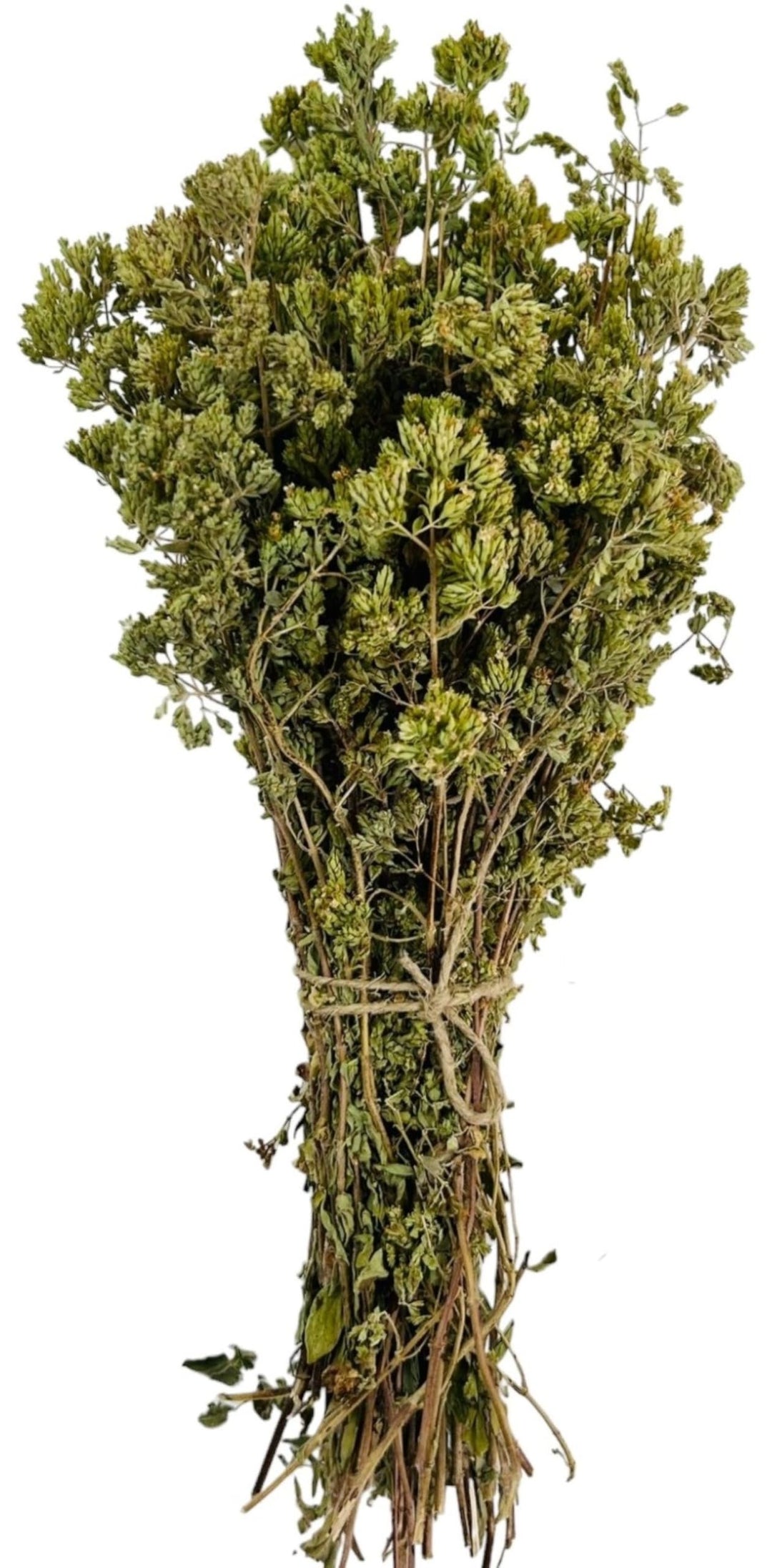 Zertifiziertes Bio Griechisches Getrocknetes Berg Oregano Bündel 85g - 1,95kg Origanum Vulgare (950