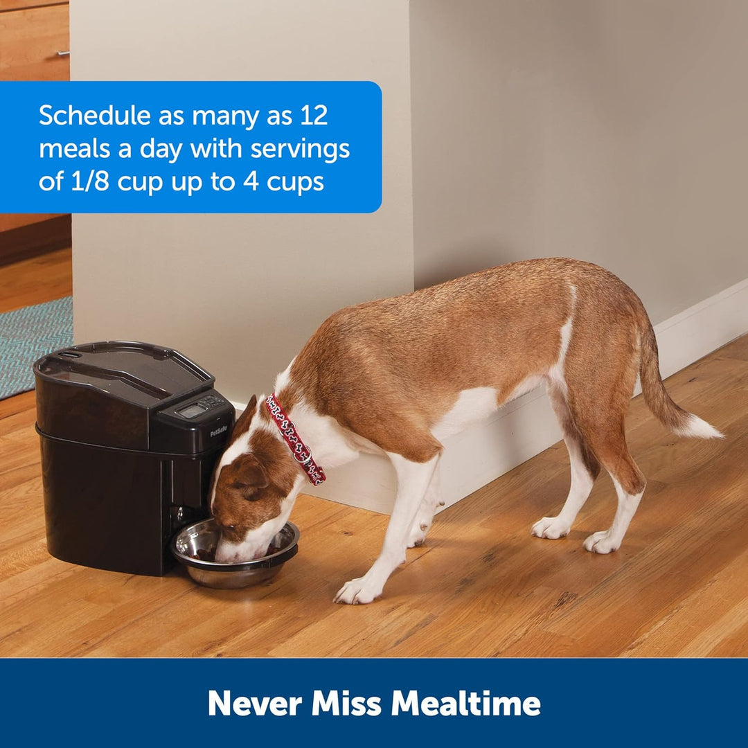 PetSafe Healthy Pet Simply Feed Programmierbarer Digitaler Futterautomat, 5,6 Liter Füllmenge, 4 D-B