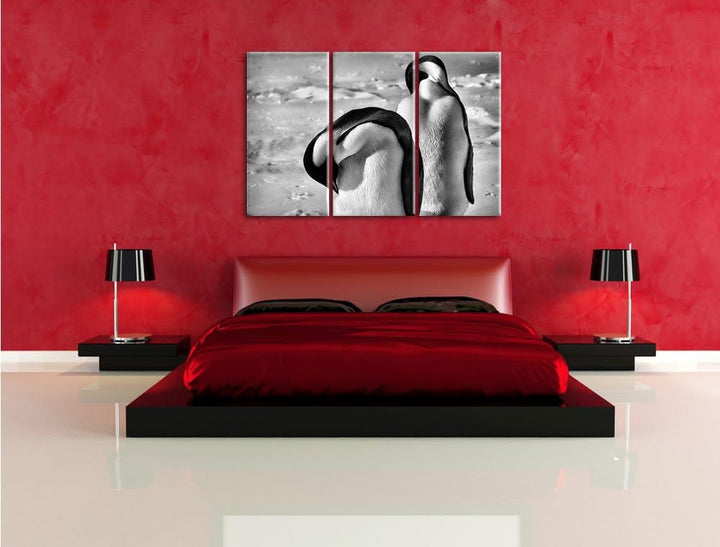 Pixxprint Monocrome, Zwei Kaiserpinguine beim Putzen 3-Teiler Leinwandbild 120x80 Bild auf Leinwand