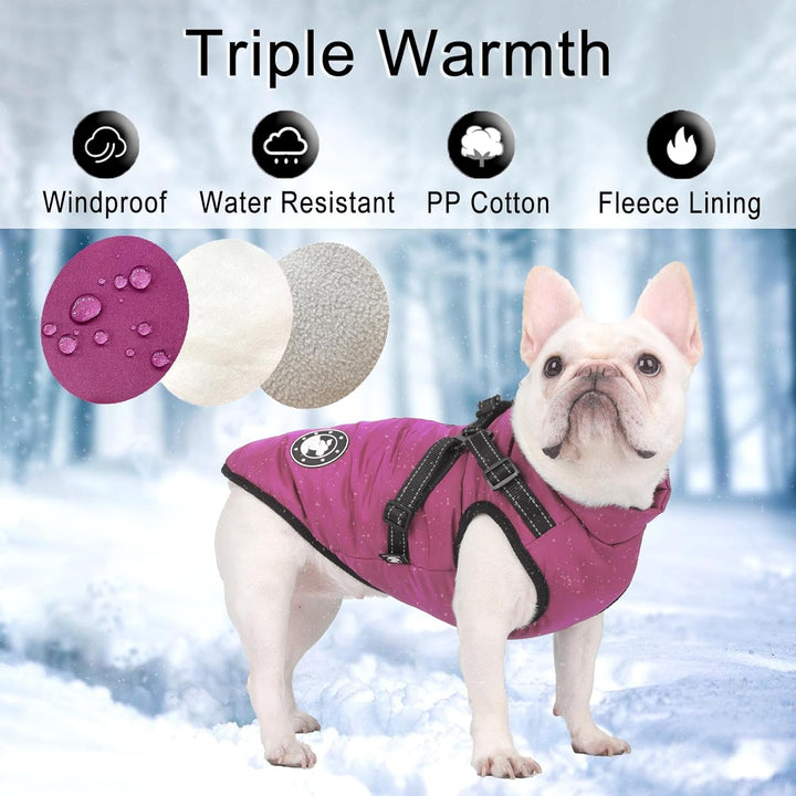 Hundemantel Wasserdicht, Hundemantel Französische Bulldogge, Warme Weste mit Hundegeschirr, Verschie