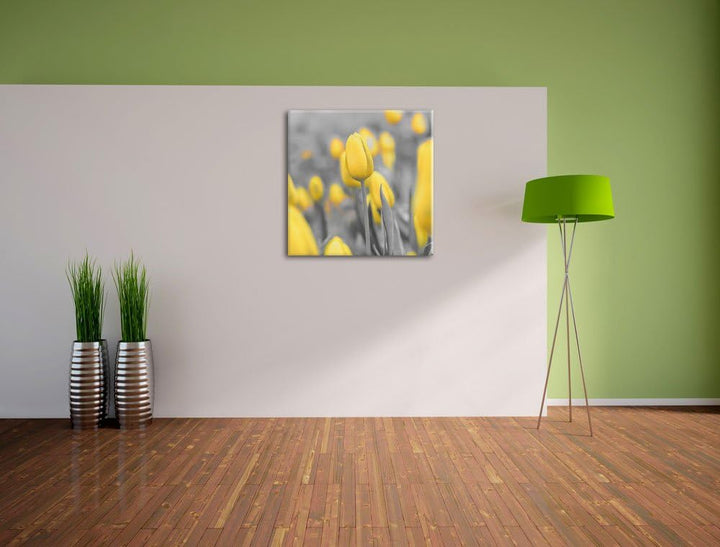 Pixxprint Gelbes Tulpenmeer als Leinwandbild/Grösse: 70x70 cm/Wandbild/Kunstdruck/fertig bespannt, 7