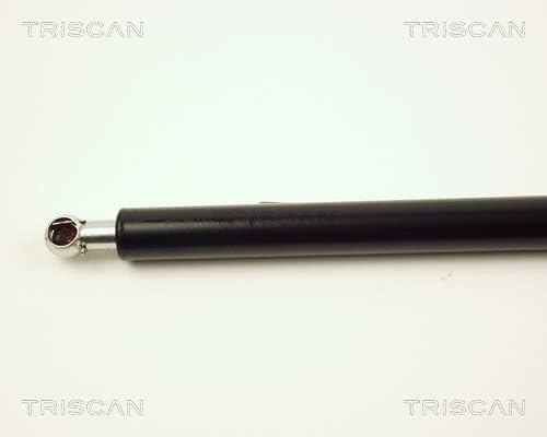 Triscan 871027209 Gasfeder Kofferraum