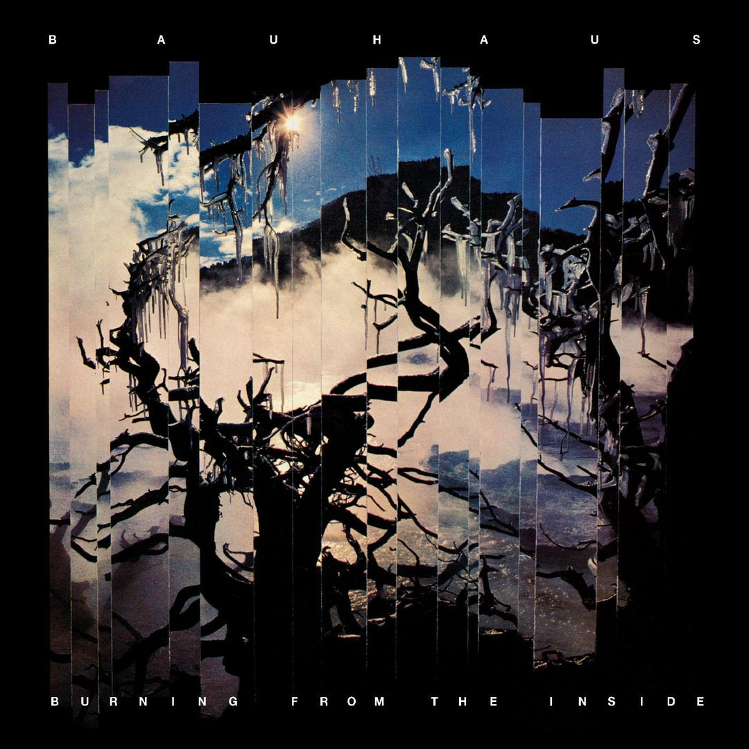 Burning From The Inside, Vinyl