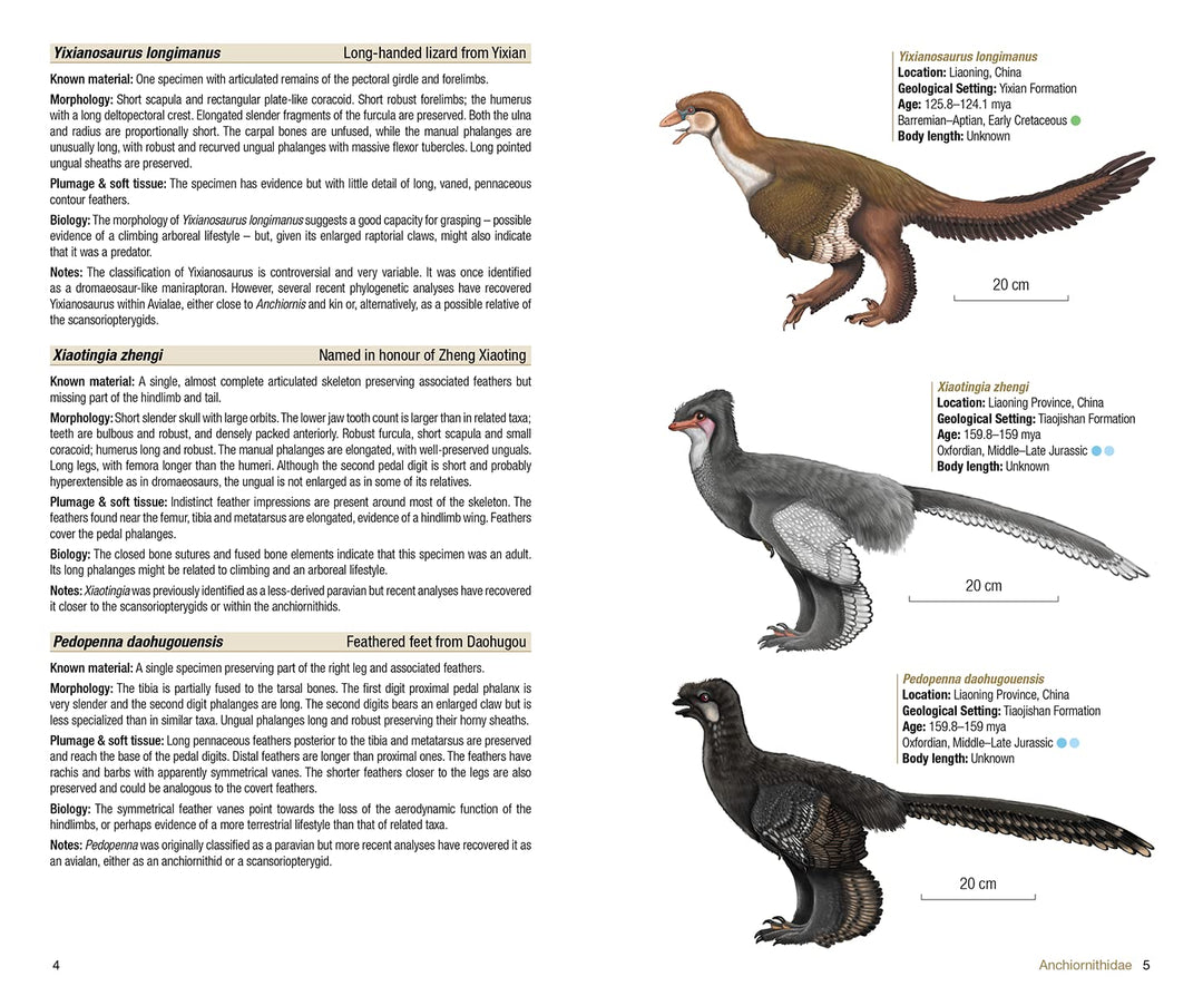 Birds of the Mesozoic: An Illustrated Field Guide, Taschenbuch