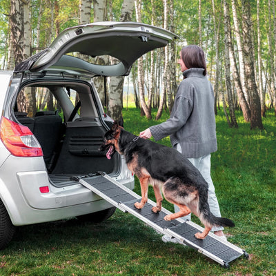 Hunderampe Auto Klappbar- Teleskop Alu Rampe für grosse Hunde - Stabile Hundetreppe Auto & SUV - rut