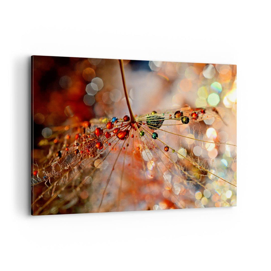 Bilder auf Leinwand 100x70cm Leinwandbild mit Rahmen Spinnennetz modern Gross Wanddeko Bild Schlafzi