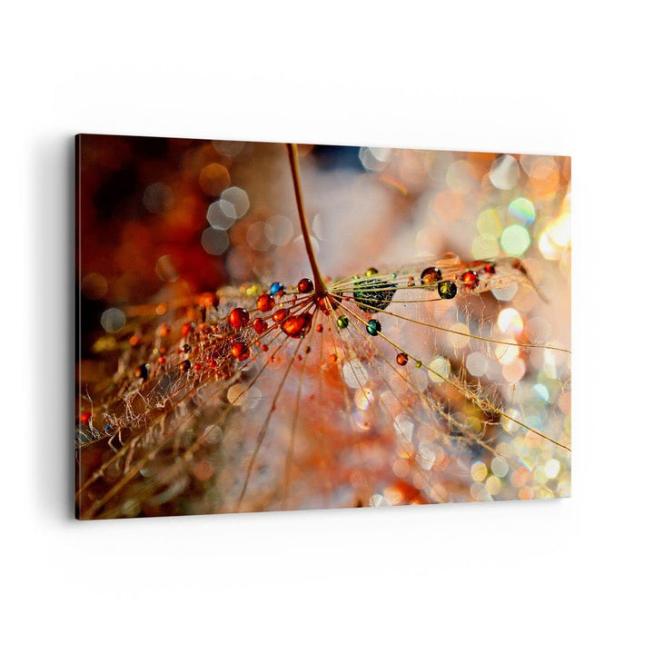 Bilder auf Leinwand 100x70cm Leinwandbild mit Rahmen Spinnennetz modern Gross Wanddeko Bild Schlafzi