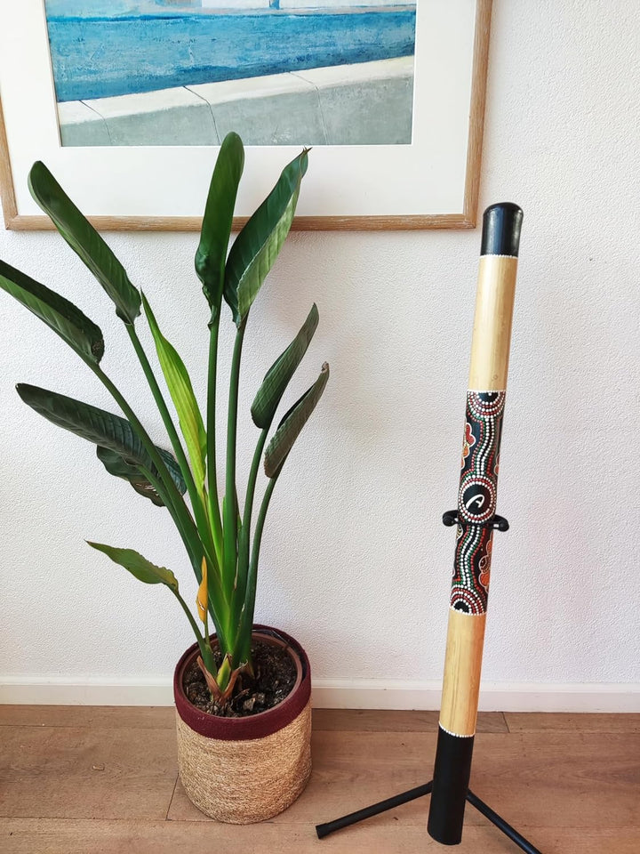 Australian Treasures - DIDGERIDOO : bambus didgeridoo 120cm - didgeridootasche - Didgeridoo für Anfä