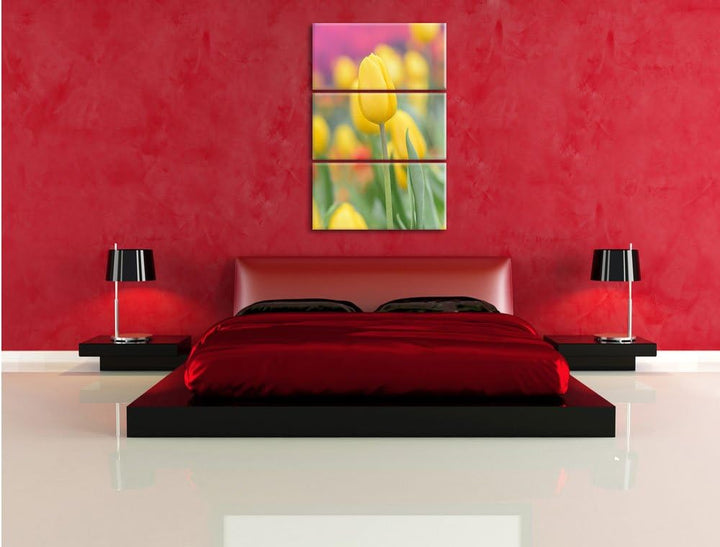 Pixxprint Gelbe Tulpen im Frühling als Leinwandbild/Grösse: 3 Teilig (120x80) cm/Wandbild/Kunstdruck