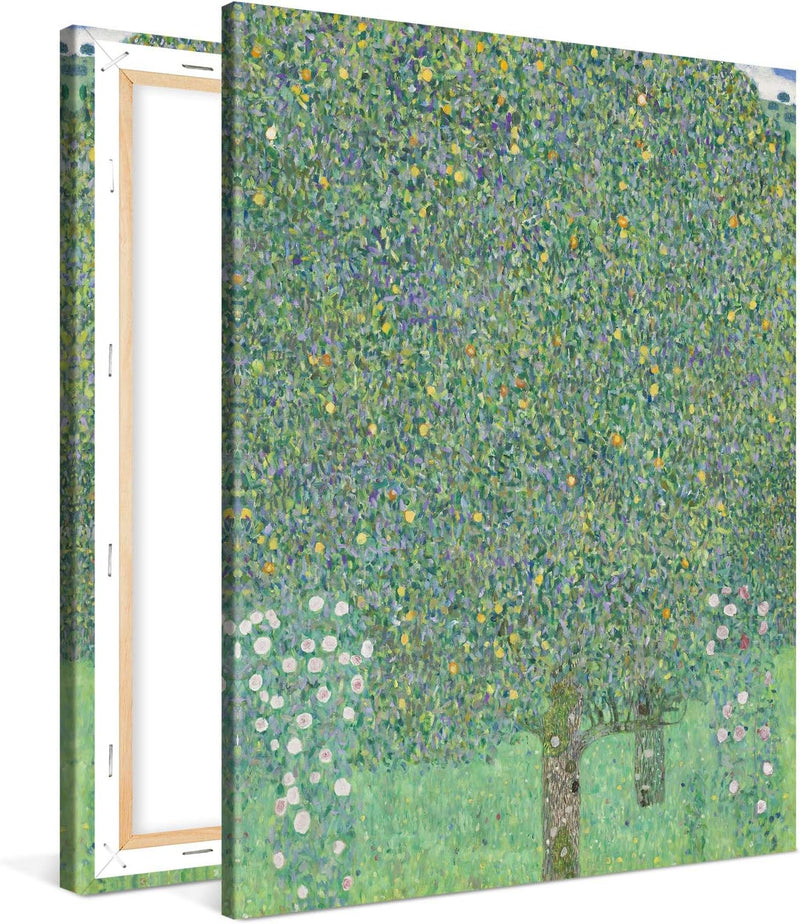 PICANOVA – Rosebushes Under The Trees 75x100cm – Premium Leinwanddruck – Kunstdruck Auf 2cm Holz-Kei