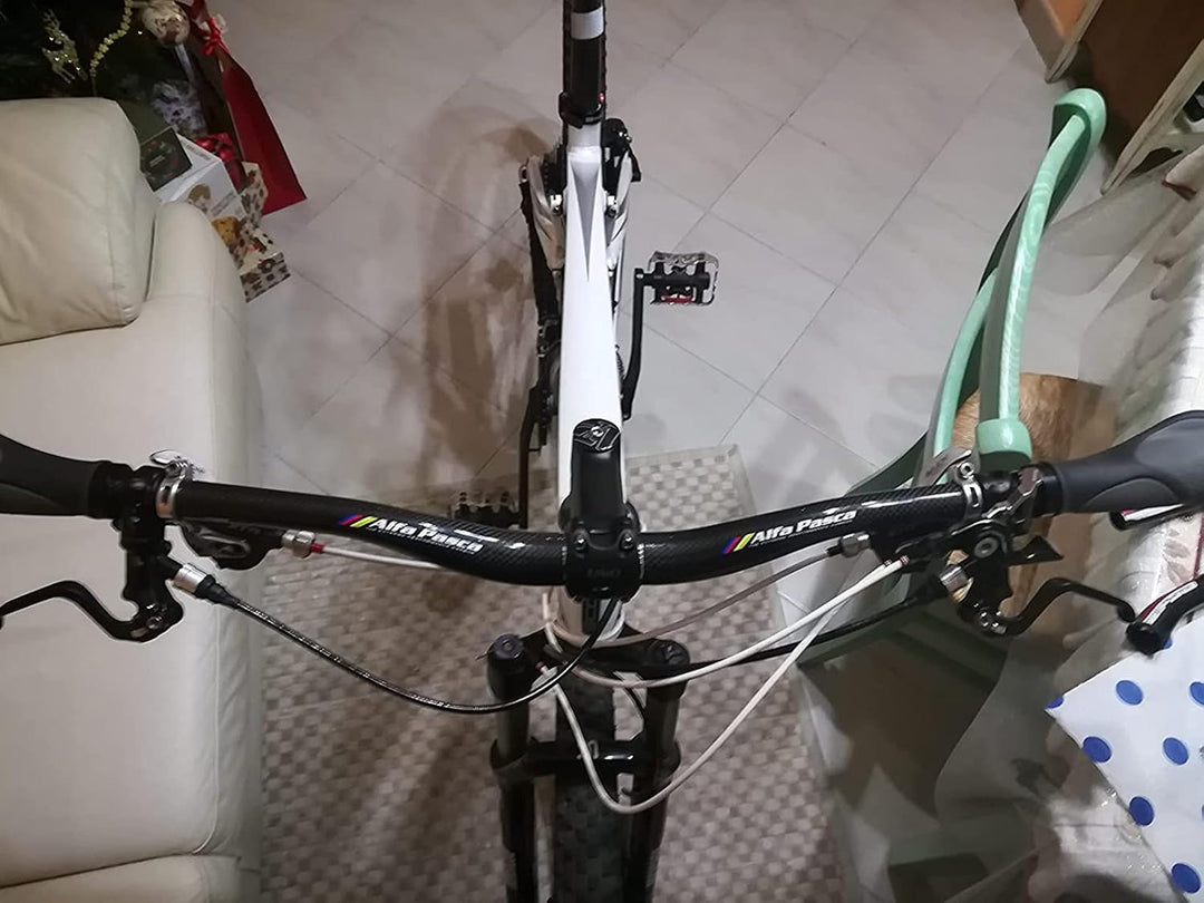 Alfa Pasca Carbon Mountain Fahrrad Lenker Ebene Steigleitung MTB Fahrrad Lenker Rot/Schwarz 3K Matt/