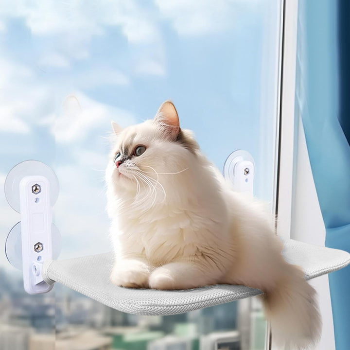 Generisch Katzen-Fenstersitz, Katzen-Hängematte für Fenster - Faltbarer Katzensitz mit Saugnapf - Pl