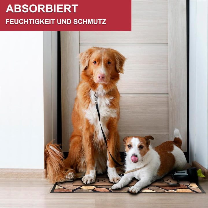 Hochwertige Fussmatte 60x80 cm (Large) – Schmutzfangmatte für Innen & Aussen, rutschfest mit hoher S