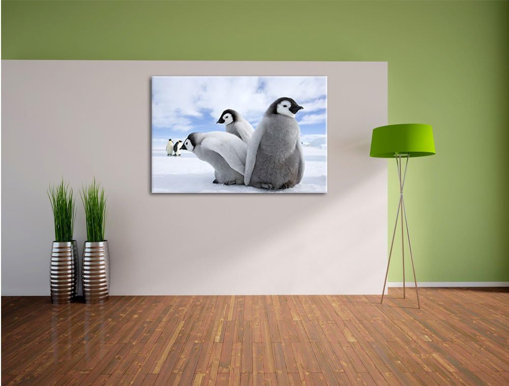 Pixxprint Kaiserpinguin Gruppe / 100x70cm Leinwandbild bespannt auf Holzrahmen/Wandbild Kunstdruck D