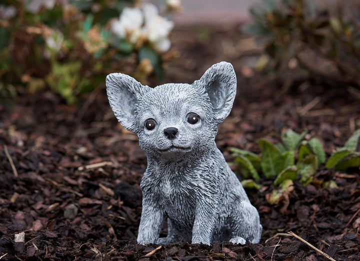stoneandstyle Steinfigur Chihuahua Hund, Frost- und Wetterfest, handgearbeitet