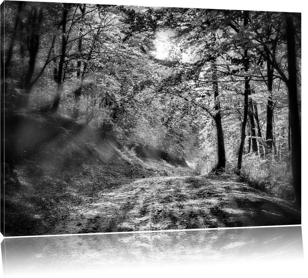 Monocrome, Wald, Format: 100x70 auf Leinwand, XXL riesige Bilder fertig gerahmt mit Keilrahmen, Kuns