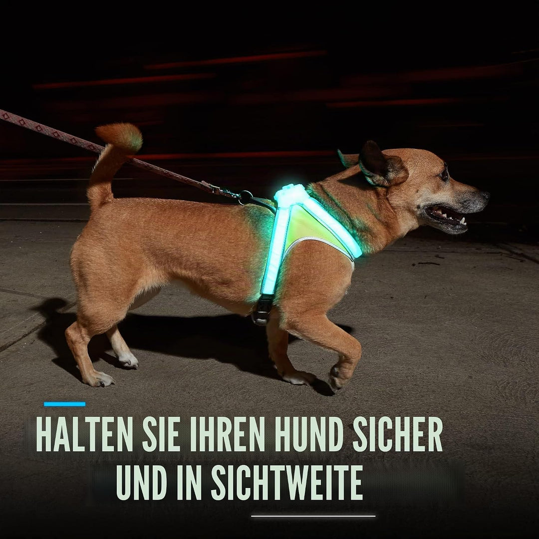 noxgear LightHound – Revolutionäres beleuchtetes und reflektierendes Geschirr für Hunde, inklusive m