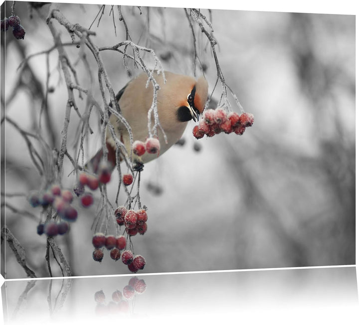Pixxprint Kleiner Vogel im Vogelbeerbaum Schwarz/Weiss, Format: 100x70 auf Leinwand, XXL riesige Bil