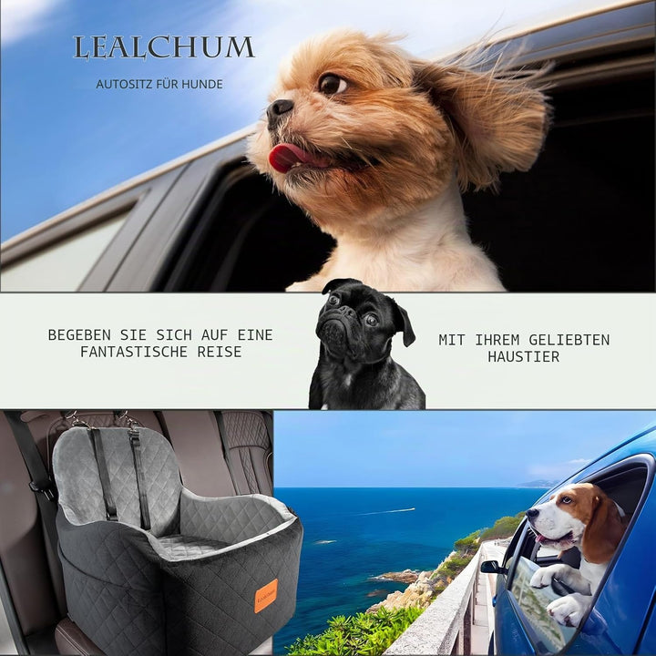 Hunde-Autositz für kleine/mittelgrosse Hunde, tragbarer Welpensitz mit erhöhtem Kissen, vollständig