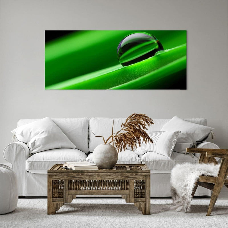 Wandbilder Dekoration Wohnzimmer Pflanze Tropfen Wasser Blase Panorama Bilder auf Leinwand 120x50cm