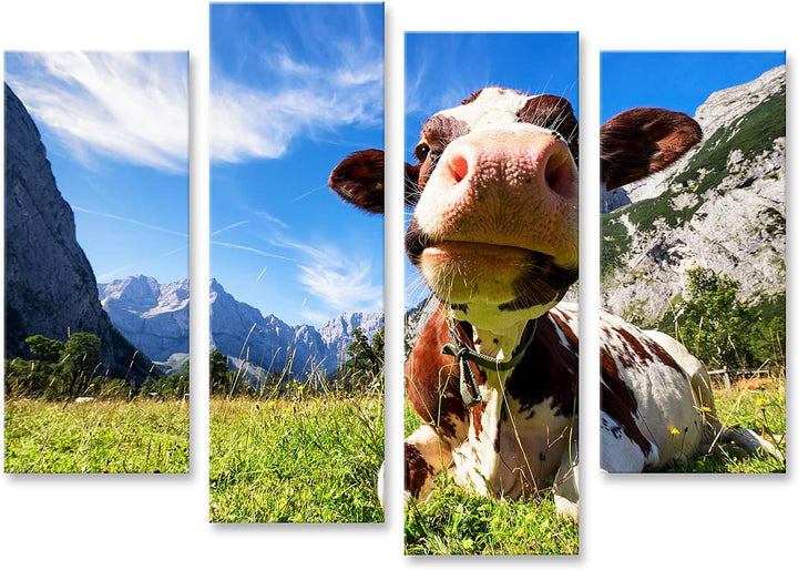 islandburner Bild auf Leinwand Kühe Im Karwendelgebirge In Österreich Bilder Wandbilder Poster Leinw