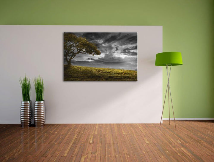 Alleinstehender Baum schwarz/weiss Format: 100x70 auf Leinwand, XXL riesige Bilder fertig gerahmt mi