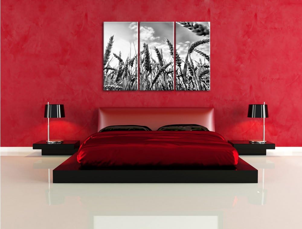 Pixxprint Monocrome, Getreide im Sonnenschein 3-Teiler Leinwandbild 120x80 Bild auf Leinwand, riesig