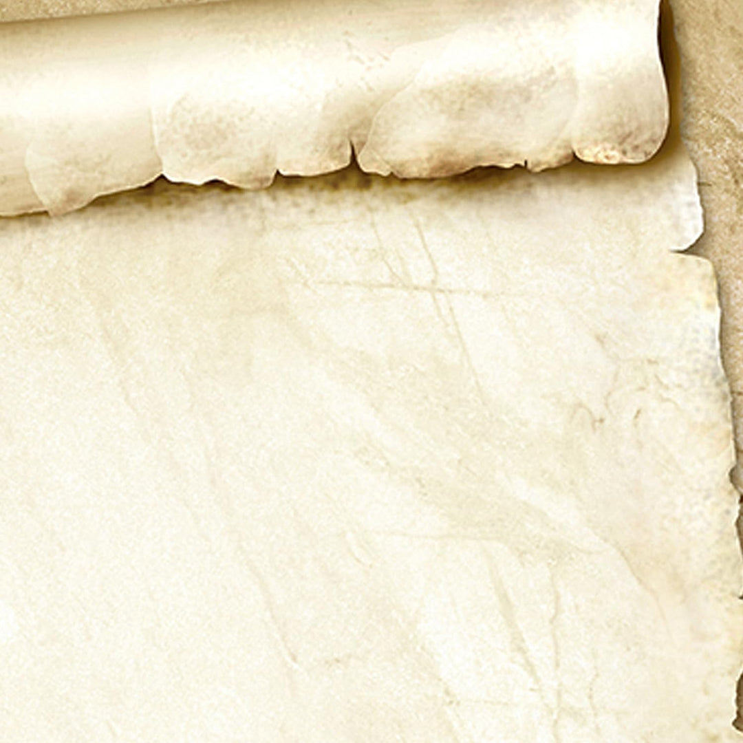 Tatmotive ROTE ROSE Briefpapier (500 Blatt) Schönes Liebesbrief-Motivpapier, 500 Blatt