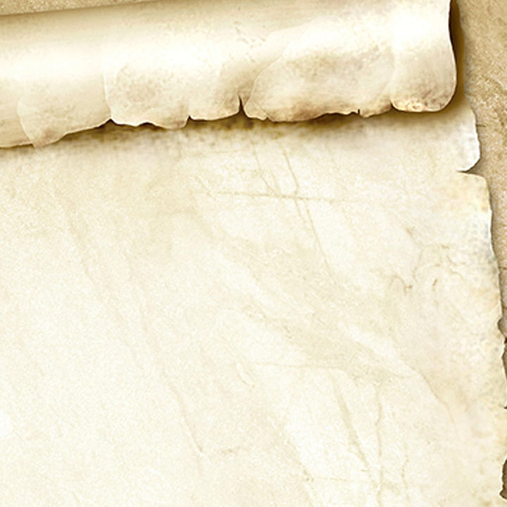 Tatmotive ROTE ROSE Briefpapier (500 Blatt) Schönes Liebesbrief-Motivpapier, 500 Blatt