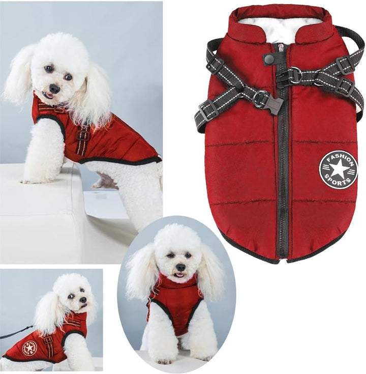 Hundejacken für den Winter Winddicht Wasserdicht 2 in 1 Outfit Kaltwettermantel Hundewestengeschirr