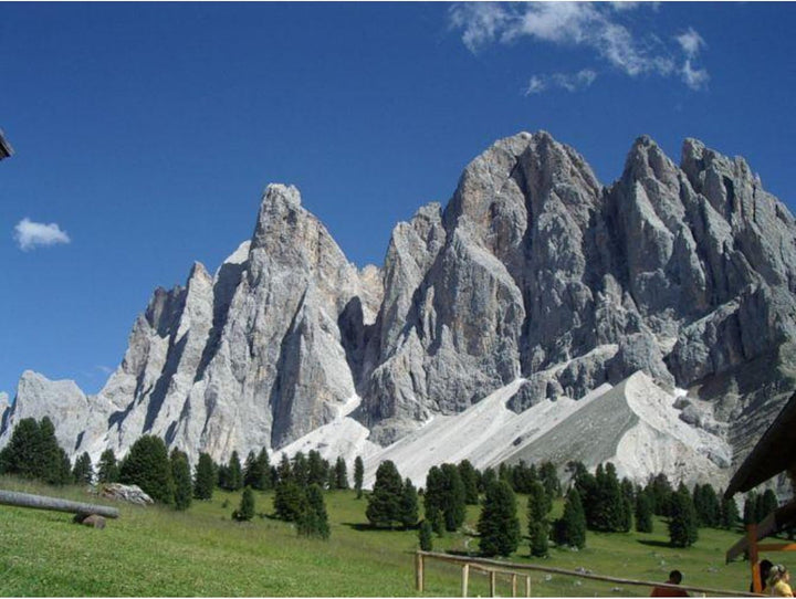 Omegon Fernglas Blackstar 12x42