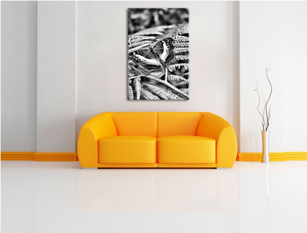 Pixxprint Monocrome, zarter Schmetterling auf Farnblatt, Format: 100x70 auf Leinwand, XXL riesige Bi